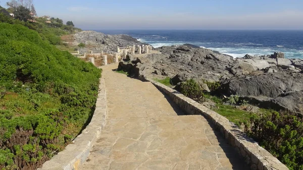 Kayalık plaj ve doğanın peyzajı