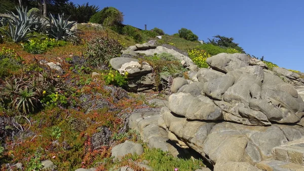 Kayalık plaj ve doğanın peyzajı