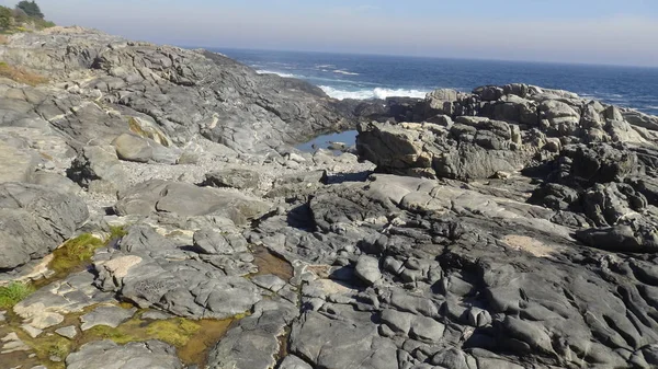 Kayalık plaj ve doğanın peyzajı