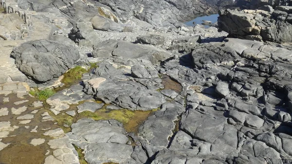 Kayalık plaj ve doğanın peyzajı