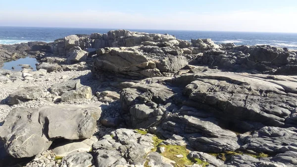 Kayalık plaj ve doğanın peyzajı