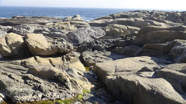 Kayalık plaj ve doğanın peyzajı