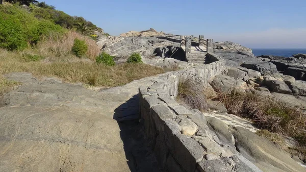 Kayalık plaj ve doğanın peyzajı