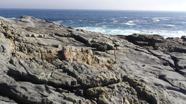 Kayalık plaj ve doğanın peyzajı