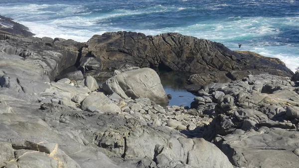 Kayalık plaj ve doğanın peyzajı