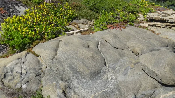 Paisaje Playa Rocosa Naturaleza — Foto de Stock