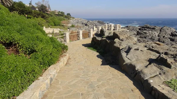 Kayalık plaj ve doğanın peyzajı