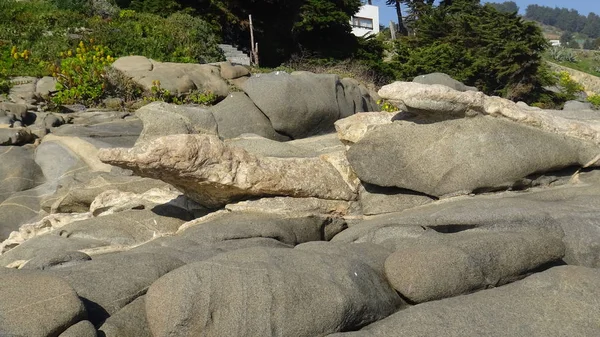 Kayalık plaj ve doğanın peyzajı