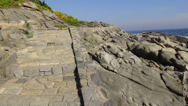 Kayalık plaj ve doğanın peyzajı