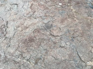 Sahilde peyzaj ve kayalar