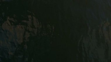 Güzel güneş yansımaları ile su, yüzme köpekbalıkları vınlamak dışarı