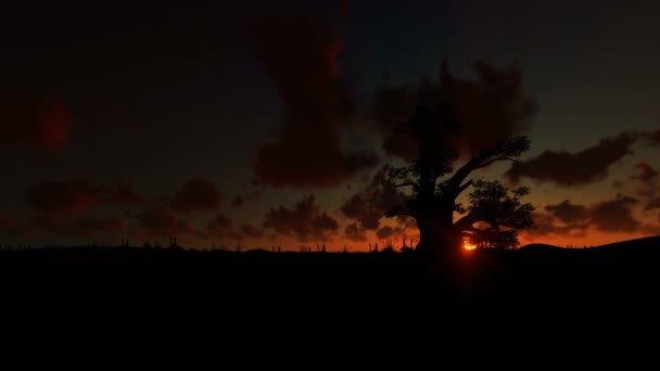 Afrikai Baobab Madarak Repülés Ellen Timelapse Napkelte — Stock videók