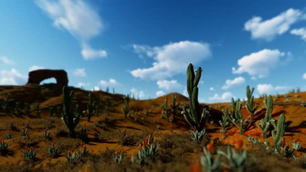 Saguaro Cactus Pustyni Przeciwko Timelapse Chmury Aparat Fotograficzny Panoramowanie — Wideo stockowe