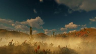 Saguaro kaktüsü ve rüzgarda 4 k toz ile çölde çalışan kadın