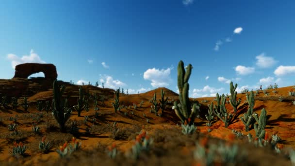 Femme Qui Court Dans Désert Avec Des Cactus Saguaro Contre — Video