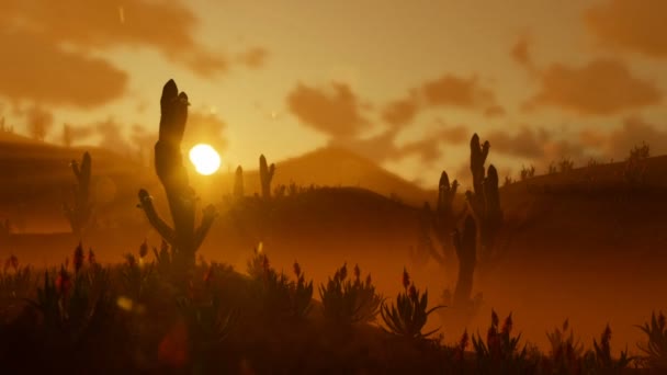 Cacto Saguaro, no deserto contra linda manhã de sol, pan e zoom para fora — Vídeo de Stock