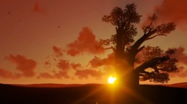 Afrika baobap ve güzel günbatımı karşı uçan kuşlar vınlamak dışarı