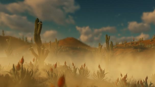 Mujer que corre en el desierto con Cactus Saguaro y el polvo que sopla en el viento, alejar — Vídeos de Stock
