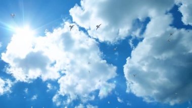 Güzel mavi gökyüzü karşı uçan, kaydırma güvercinler