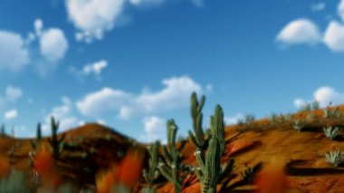 Saguaro kaktüsü timelapse bulutlar karşı kaydırma çölde