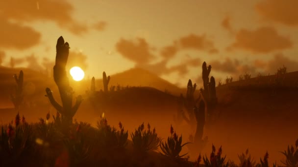 Κάκτος Saguaro στην έρημο ενάντια όμορφο πρωινό ήλιο, panning — Αρχείο Βίντεο