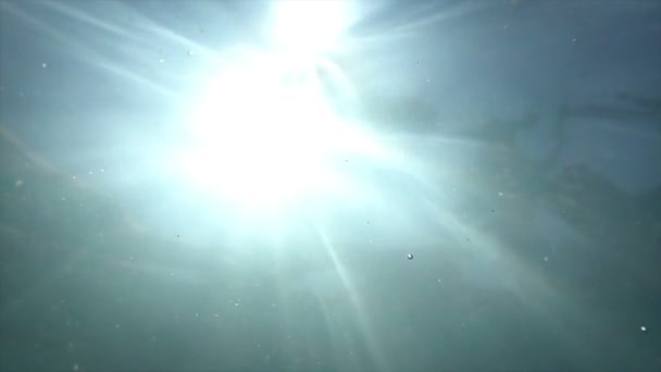 Υποβρύχια πλάνα από τον ήλιο αντανακλούν στην επιφάνεια του νερού, αργή κίνηση — Αρχείο Βίντεο