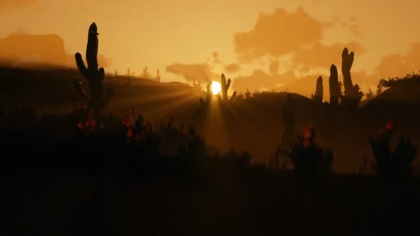 Saguaro Cactus en el desierto contra hermosa mañana amanecer, alejar — Vídeos de Stock