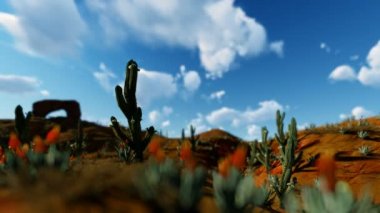 Saguaro kaktüsü timelapse bulutlar, 4k karşı çölde