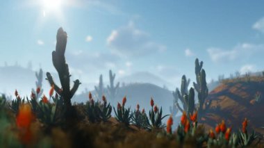 Çölde, Saguaro kaktüsü vınlamak dışarı