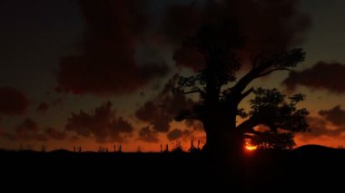 Afrika fili Baobab doğru yürüyüş ağaç agains güzel Timelapse Sunrise, vınlamak dışarı