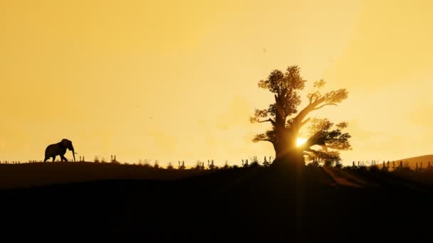 Afrikanische Elefanten zu Fuß in Richtung eines Baobab Baum gegen Sonnenaufgang, 4k — Stockvideo