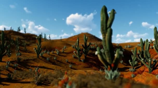 妇女运行在沙漠与柱仙人掌仙人掌对美丽的天空 平移和缩小 — 图库视频影像