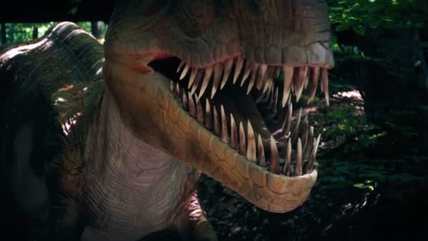 Gros plan de dinosaure Tyrannosaurus Rex dans la forêt sauvage, slow motion — Video