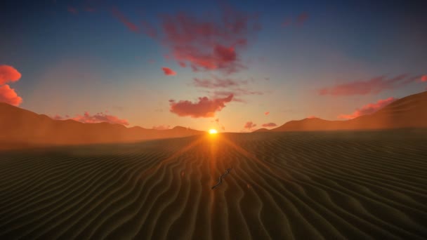 Serpiente de Jarretera en postre contra la hermosa puesta de sol — Vídeo de stock