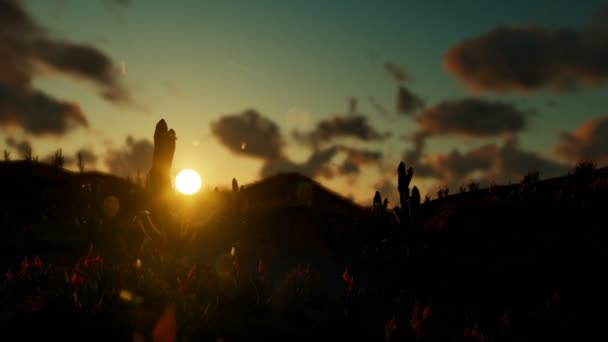 Saguaro kaktus i öknen mot vacker solnedgång, zooma ut — Stockvideo