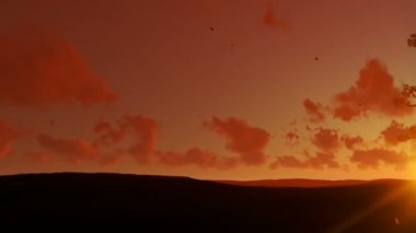 Afrika baobap ve güzel günbatımı karşı uçan, kaydırma kuşlar