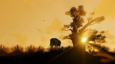 Afrika Fil güzel sabah gündoğumu karşı Baobab ağacı ile yürüyüş, uzaklaştırmak