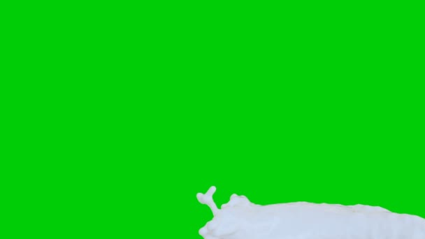 3D-animatie van melk stromen in Slow Motion, groen scherm — Stockvideo