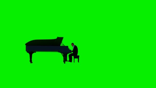 Artista de piano afroamericano, Luma Matte adjunta — Vídeo de stock