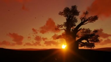 Afrika fili baobab doğru yürüyüş ağaç agains güzel gün batımı, uzaklaştırmak