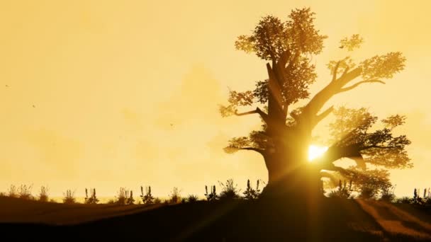Africké Baobaby Ptáci Letící Proti Krásný Východ Slunce Timelapse Oddálit — Stock video