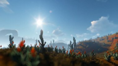 Saguaro kaktüsü çölde, kaydırma, 4 k kamera