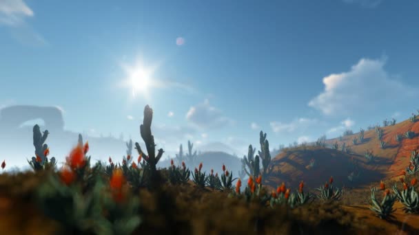 Cactus Del Saguaro Nel Deserto Fotocamera Panoramica — Video Stock