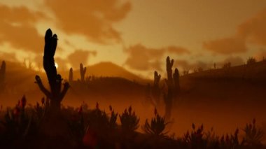Sabah Sunrise, uzaklaştırmak karşı Saguaro kaktüsü ile çölde çalışan kadın