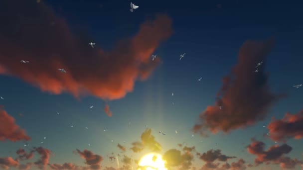 Голуби, що летять проти прекрасного заходу сонця, 4K — стокове відео