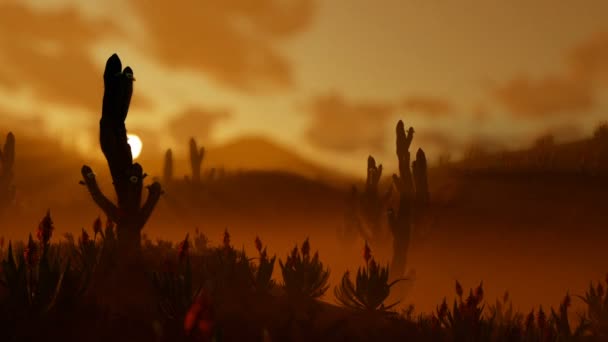 Mulher correndo no deserto com o cacto Saguaro contra manhã ao nascer do sol, zoom para fora — Vídeo de Stock