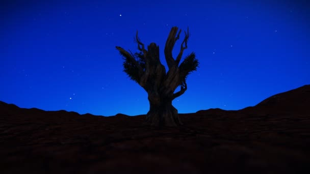 Árbol muerto en el desierto contra el cielo estrellado, 4k — Vídeo de stock