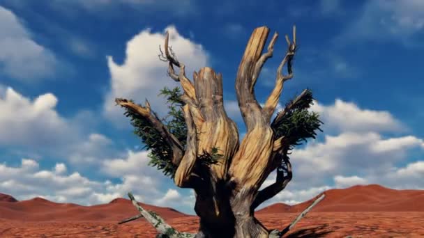 Einsamer Toter Baum Gegen Zeitrafferwolken Tag Für Nacht — Stockvideo