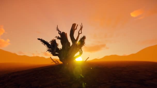 Árvore inoperante no deserto no por do sol com o falcão preto helicópteros que passam, panning — Vídeo de Stock