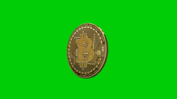 Bitcoin roterende, naadloze lus, groen scherm — Stockvideo